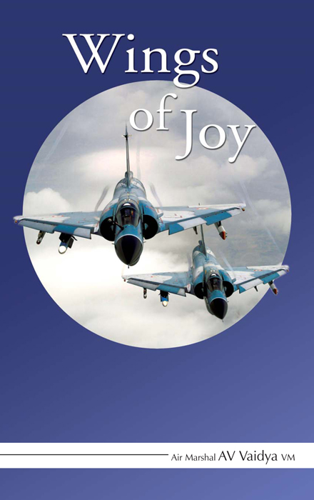 Cover of Wings of Joy