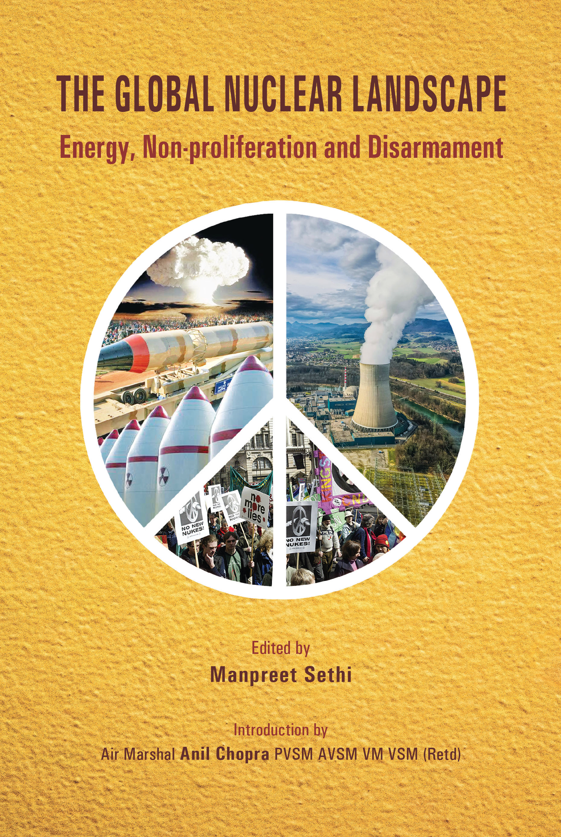 Cover of The Global Nuclear Landscape: Energy, Non-proliferation and Disarmament