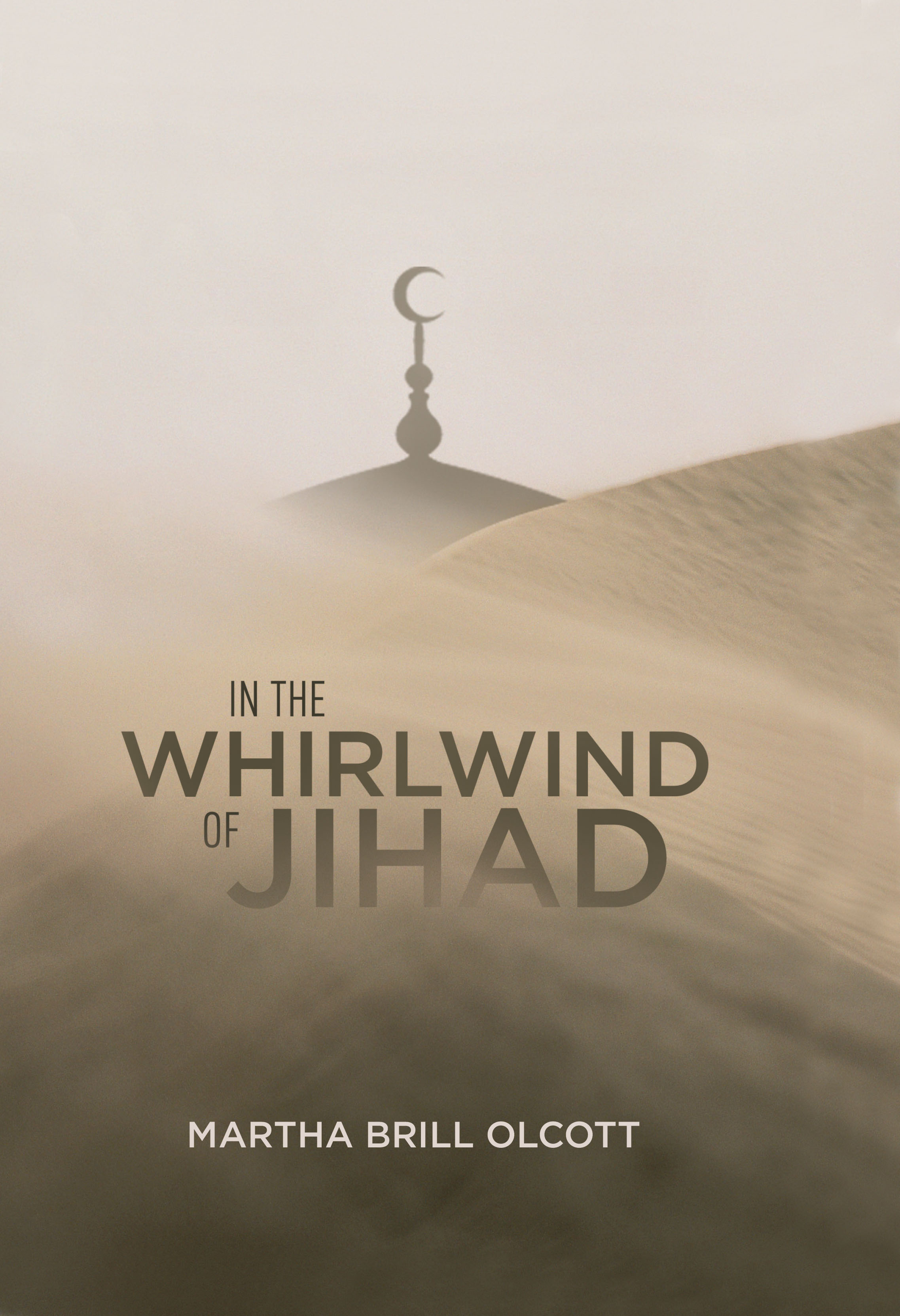 Cover of In the Whirlwind of Jihad