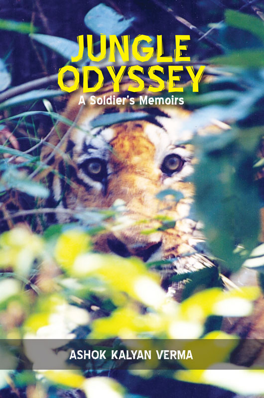 Cover of Jungle Odyssey